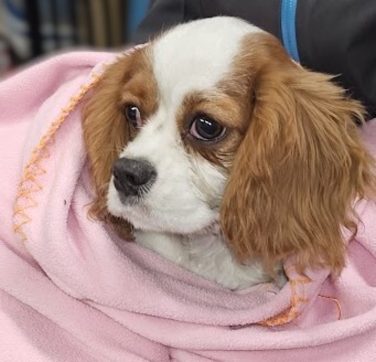 20251216 182140 jpgd jpgs