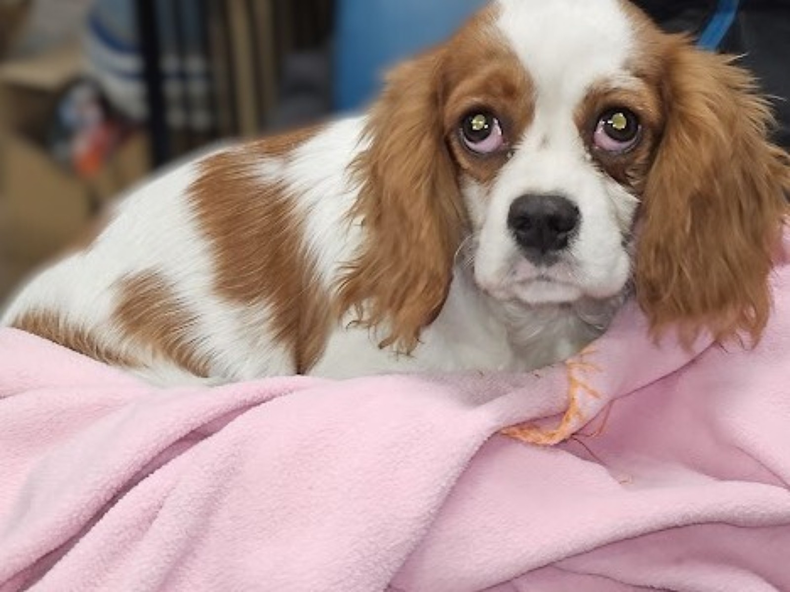 20251216 182200 jpgq jpgx