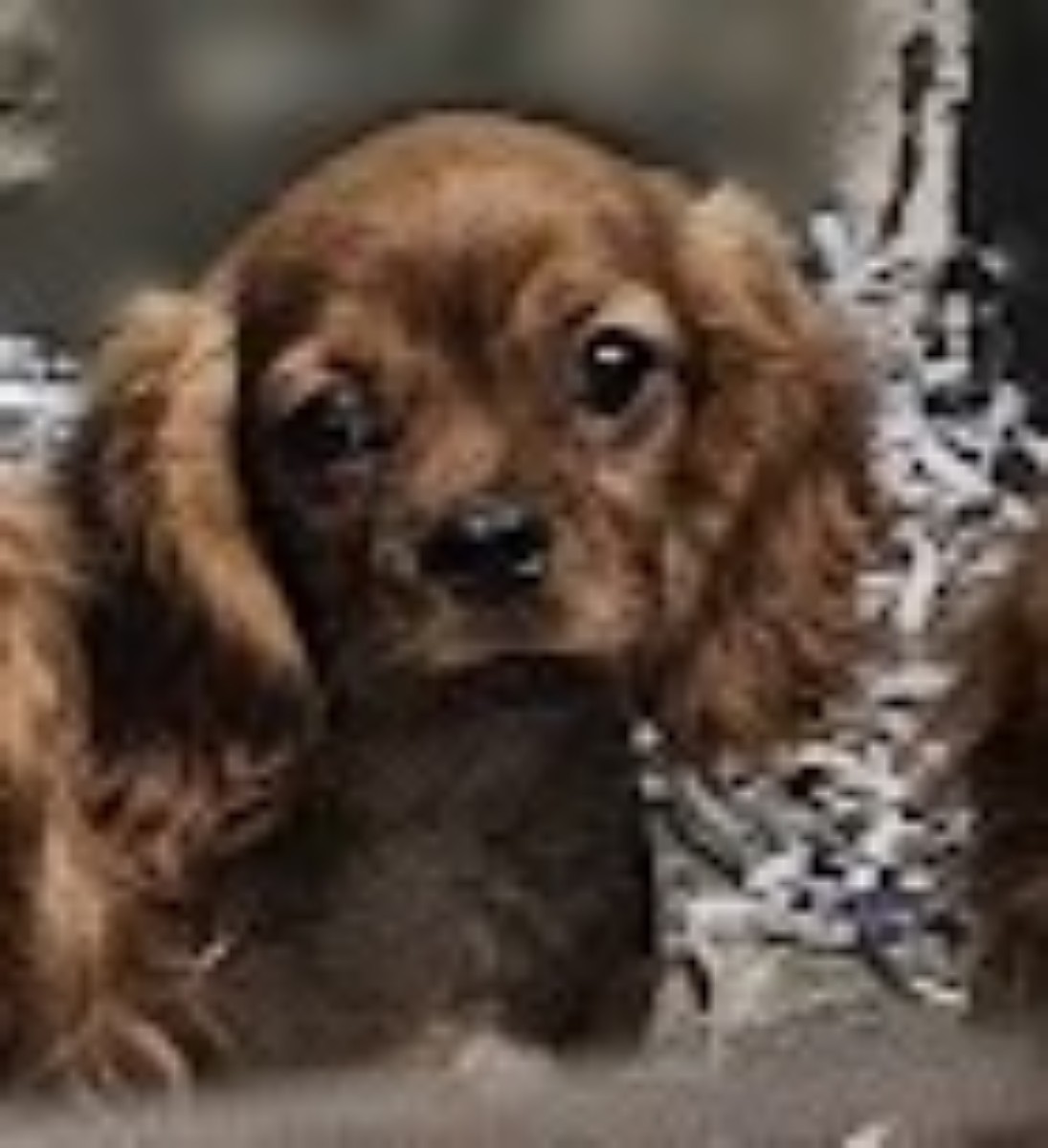 20251223 121016 jpga jpgi