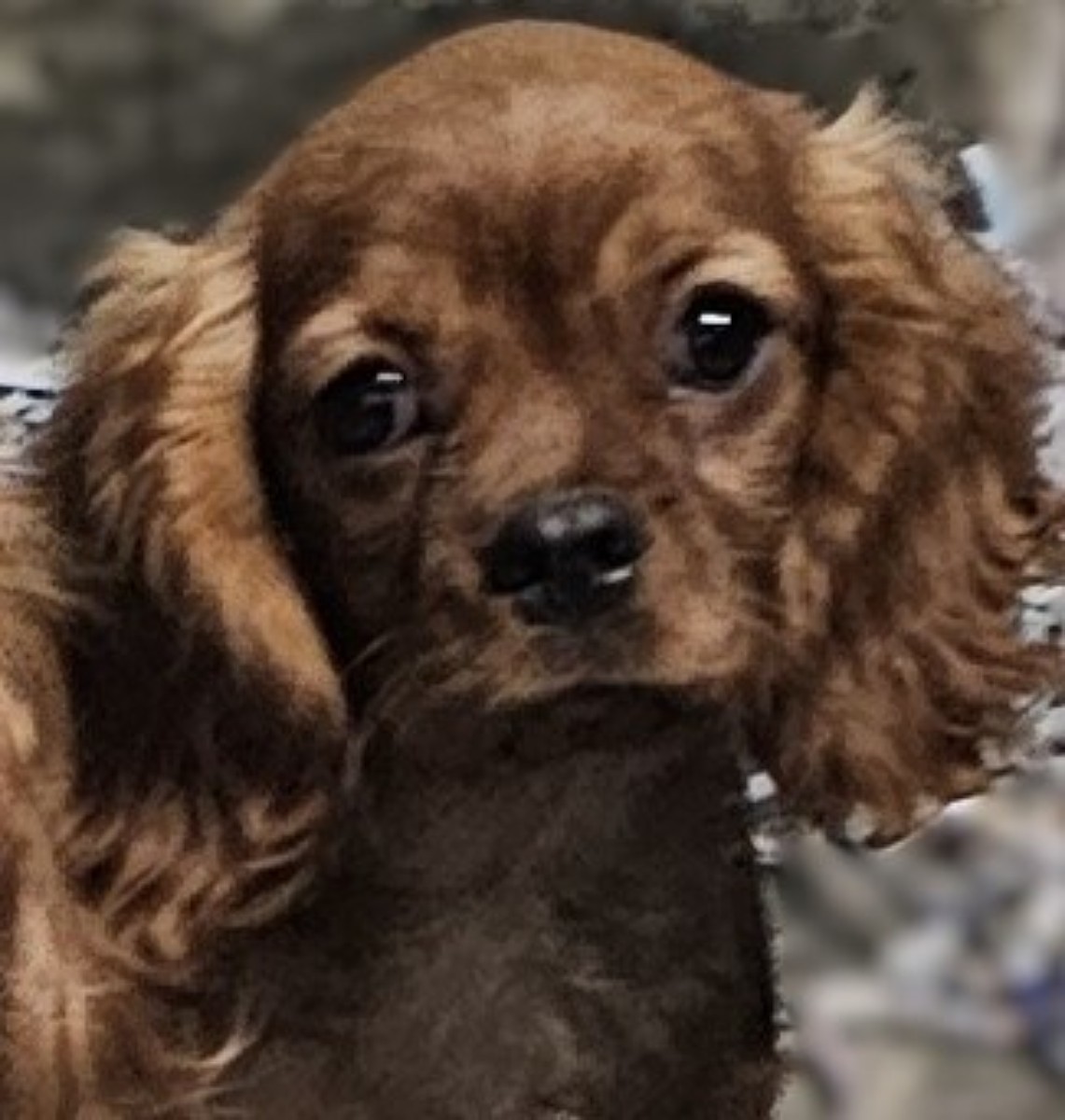 20251223 121016 jpgr jpgt