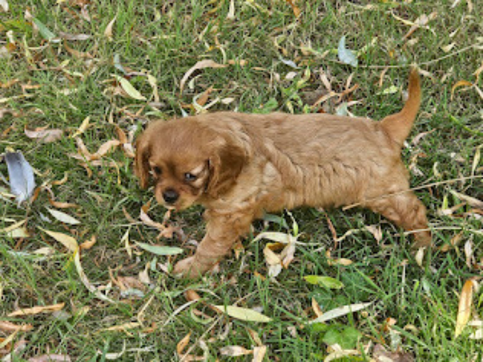 20250701 165026 jpgw