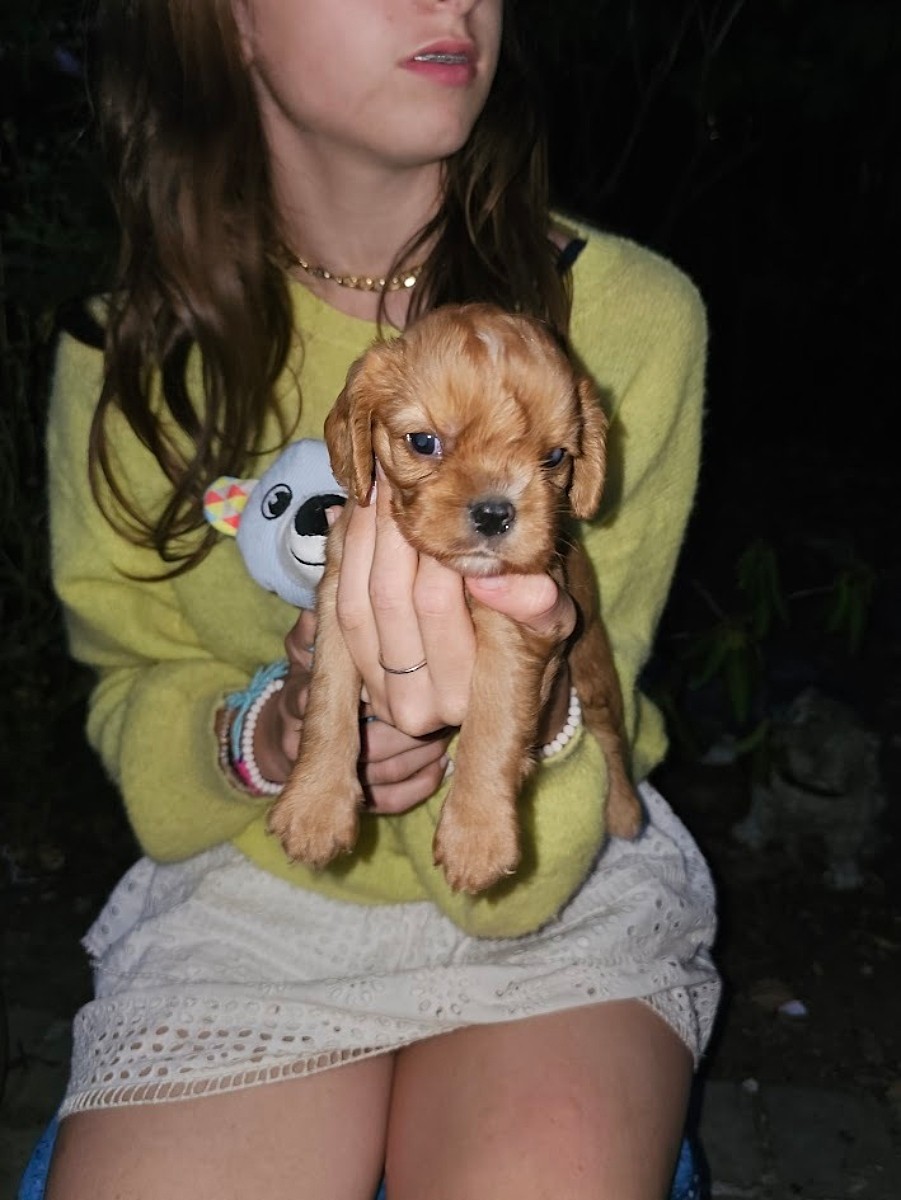 20250814 214106 jpgq