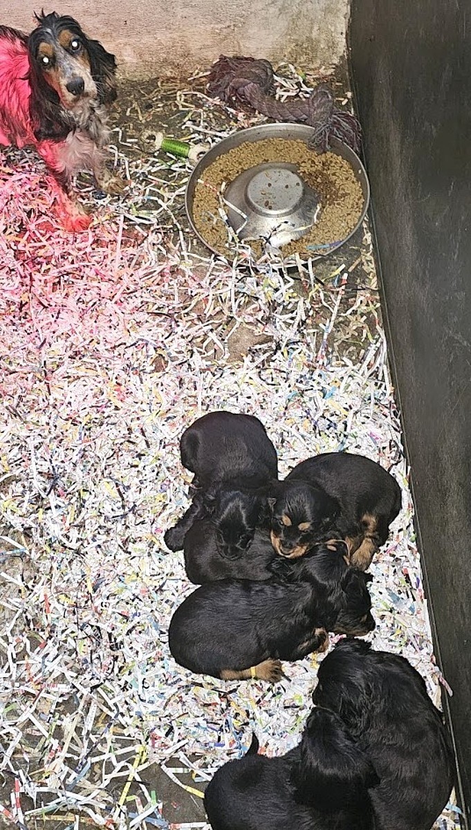 Bavette 2 9 25a jpgw